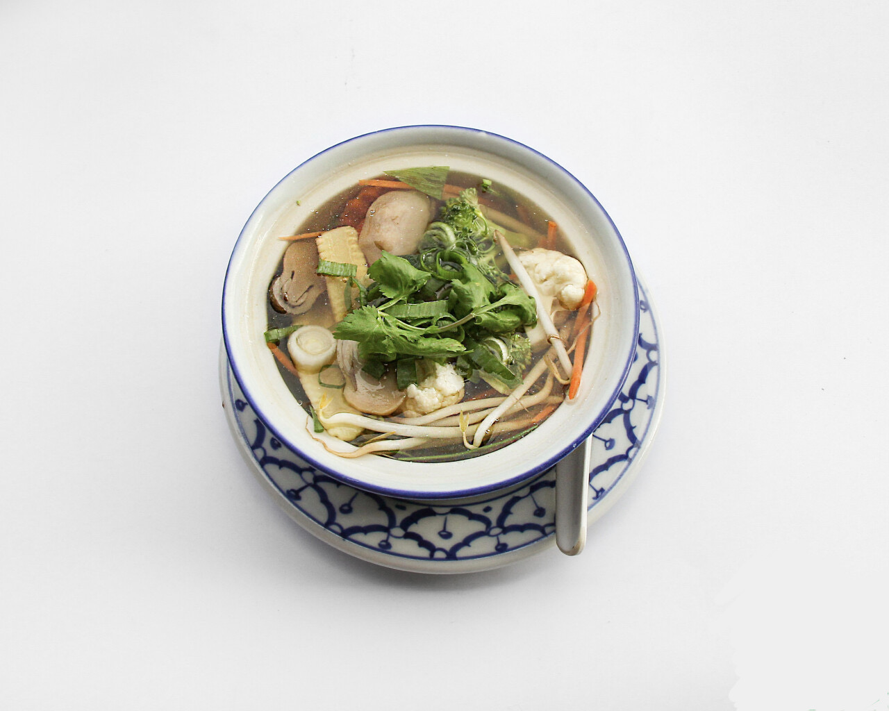 Potage aux variétés de légumes 🥦🥕